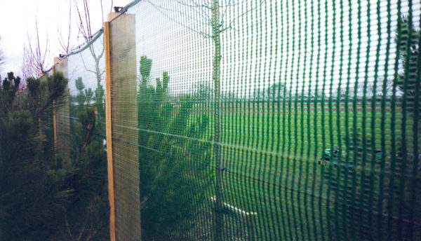 How to beat the heavy wind with windbreaks - Mesh4