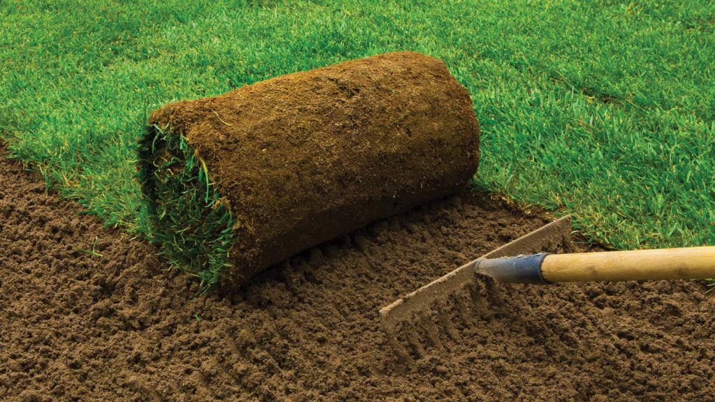 Turf Growing Net Mesh4