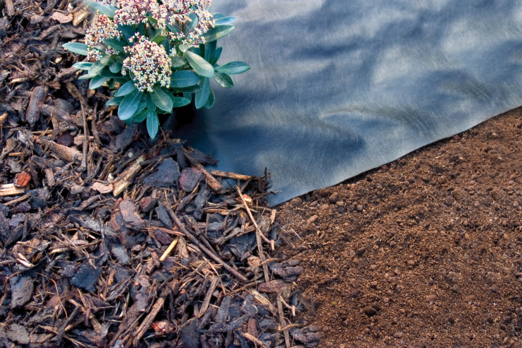Weed Control Fabric (Weed Control Barrier) Mesh4