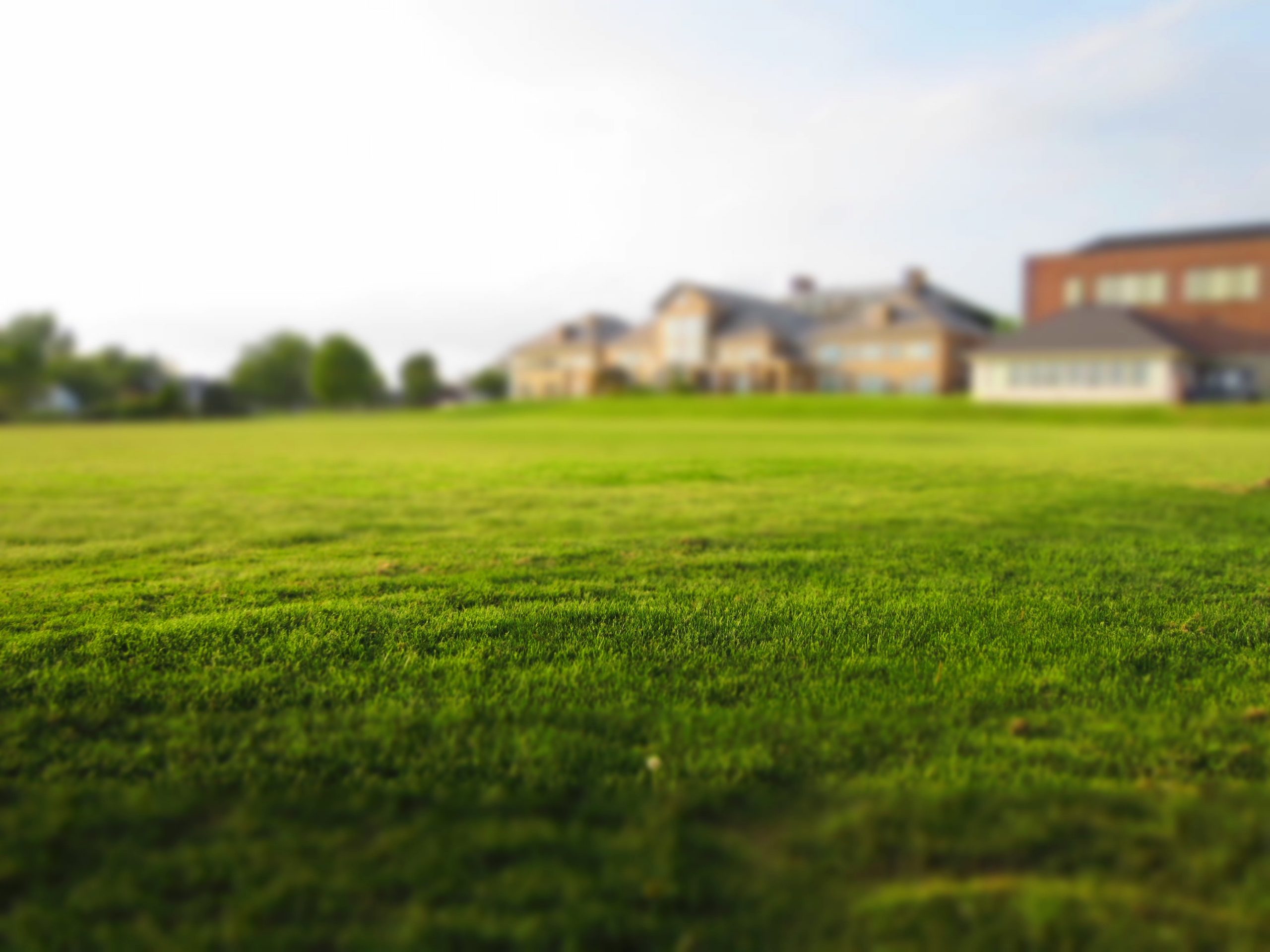 Ground reinforcement & protection: 6 top tips to protect grass & turf -  Mesh4